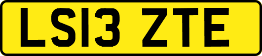 LS13ZTE