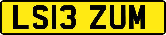 LS13ZUM