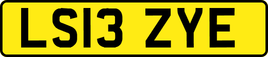 LS13ZYE