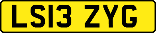 LS13ZYG