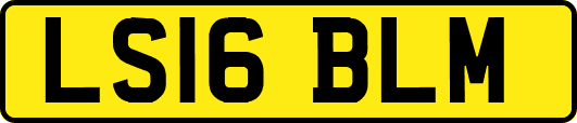 LS16BLM