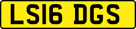 LS16DGS