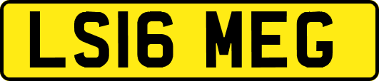LS16MEG