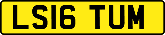 LS16TUM