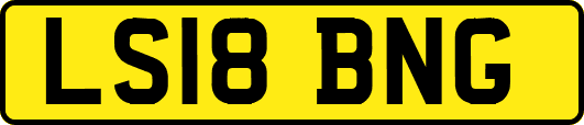LS18BNG