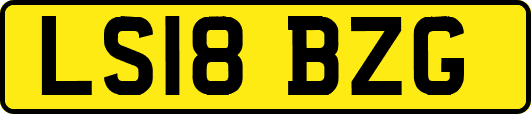 LS18BZG