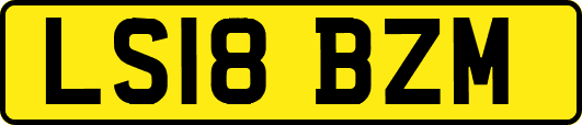 LS18BZM