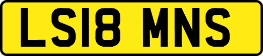 LS18MNS