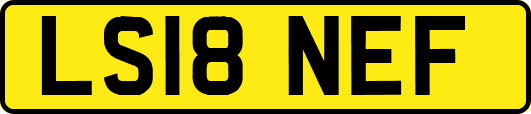 LS18NEF