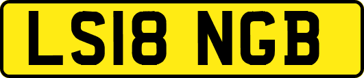 LS18NGB