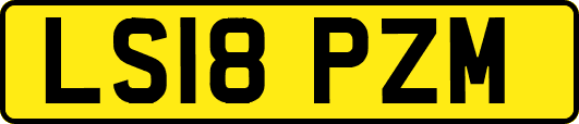 LS18PZM
