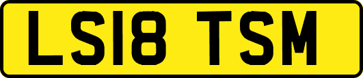 LS18TSM