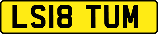 LS18TUM