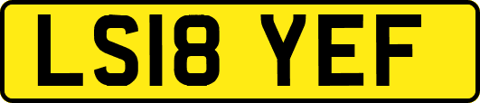 LS18YEF