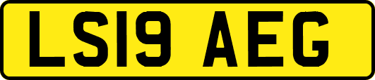 LS19AEG