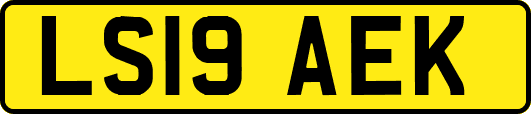 LS19AEK