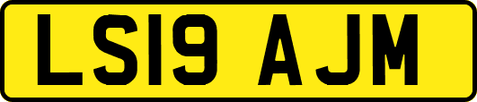 LS19AJM