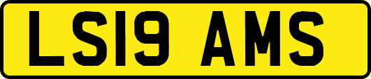LS19AMS
