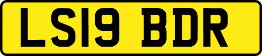 LS19BDR