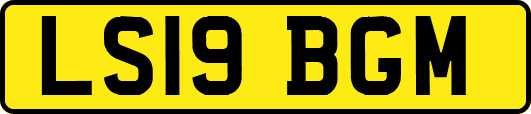 LS19BGM