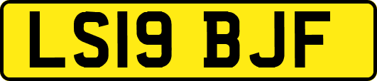 LS19BJF