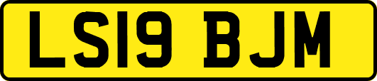 LS19BJM