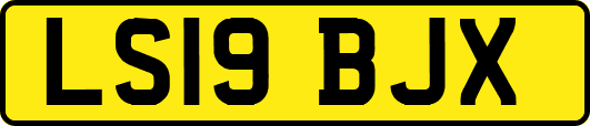 LS19BJX