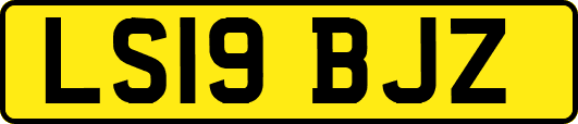 LS19BJZ