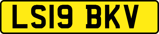 LS19BKV