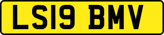 LS19BMV