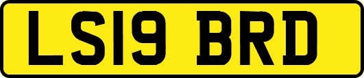 LS19BRD