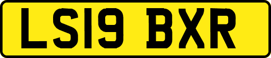 LS19BXR