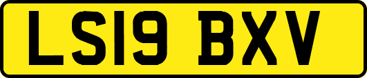 LS19BXV