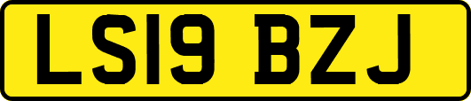 LS19BZJ