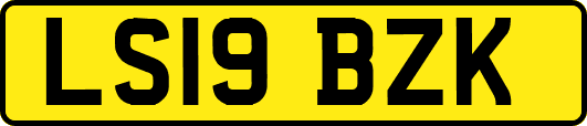 LS19BZK