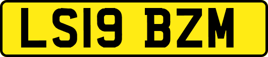 LS19BZM