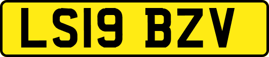 LS19BZV