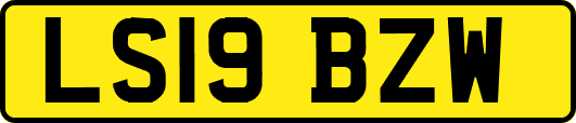 LS19BZW