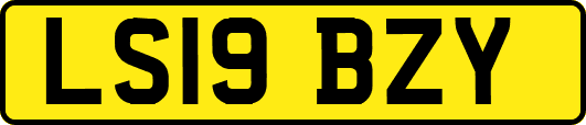 LS19BZY