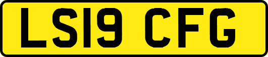 LS19CFG