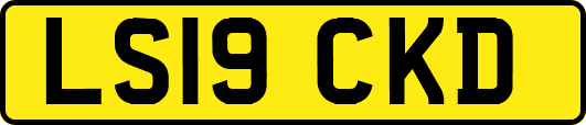 LS19CKD