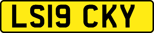 LS19CKY