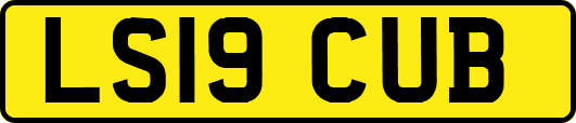LS19CUB