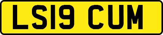 LS19CUM