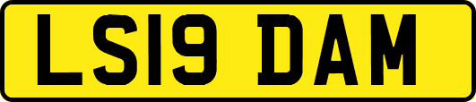 LS19DAM