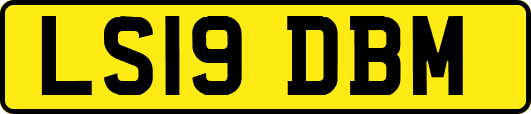 LS19DBM