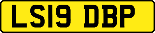 LS19DBP