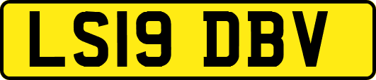 LS19DBV