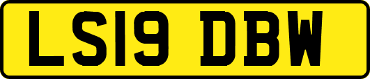 LS19DBW