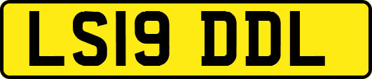 LS19DDL